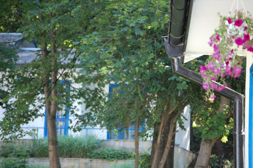 Комплекс Белите Къщи Shtarkelovo Gnezdo 외부 사진